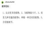 浙教版二年级劳动上册项目四任务二班级植物角我创建课件