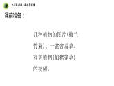 浙教版二年级劳动上册项目四任务二班级植物角我创建课件