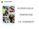 浙教版二年级劳动上册项目四任务三班级植物我养护课件