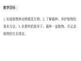 浙教版二年级劳动上册项目四任务三班级植物我养护课件