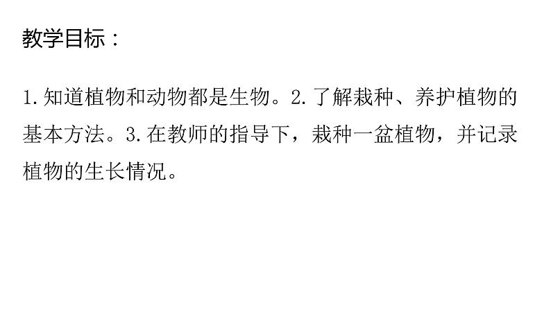 浙教版二年级劳动上册项目四任务三班级植物我养护课件第2页