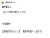 浙教版二年级劳动上册项目四任务三班级植物我养护课件