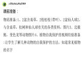浙教版二年级劳动上册项目四任务三班级植物我养护课件