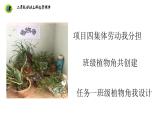 浙教版二年级劳动上册项目四任务一班级植物角我设计课件