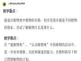 浙教版二年级劳动上册项目四任务一班级植物角我设计课件