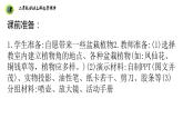 浙教版二年级劳动上册项目四任务一班级植物角我设计课件