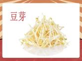 小学劳动教育 二年级下册 活动《豆芽种植我在行》（第一课时） 课件