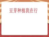 小学劳动教育 二年级下册 活动《豆芽种植我在行》（第二课时）课件