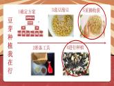 小学劳动教育 二年级下册 活动《豆芽种植我在行》（第二课时）课件