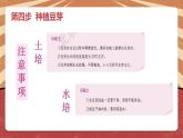 小学劳动教育 二年级下册 活动《豆芽种植我在行》（第二课时）课件