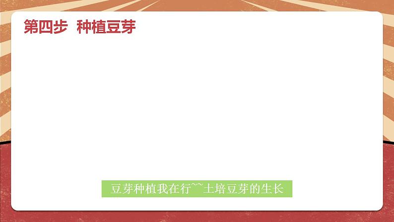 小学劳动教育 二年级下册 活动《豆芽种植我在行》（第二课时）课件07