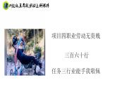 浙教版五年级上册劳动项目四任务三行业能手我敬佩课件+素材