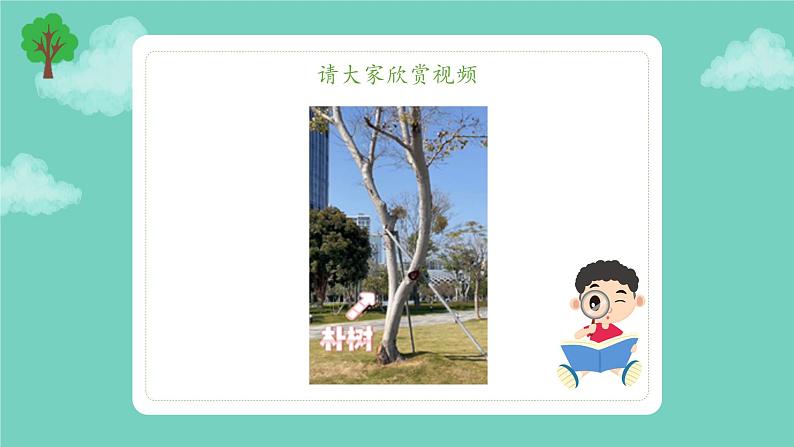 小学劳动教育 四年级 活动14《我给植物来挂牌》第一课时 课件05