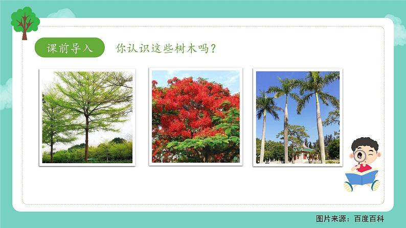 小学劳动教育 四年级 活动14《我给植物来挂牌》第一课时 课件08