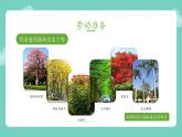 小学劳动教育 四年级 活动14《我给植物来挂牌》第二课时教学ppt 课件