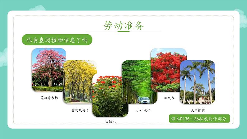 小学劳动教育 四年级 活动14《我给植物来挂牌》第二课时教学ppt 课件第2页