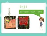 小学劳动教育 四年级 活动14《我给植物来挂牌》第二课时教学ppt 课件