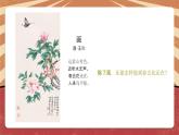 小学劳动教育 六年级 《丝网绽放百合花》第一课时  课件