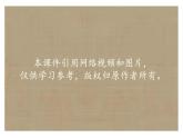 小学劳动教育 北师大版 五年级 活动12《拼装家具真有趣》第二课时  课件