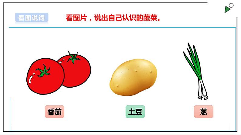 浙教版劳动一年级上册项目三 任务一《蔬菜我来洗》 课件+教案+素材06