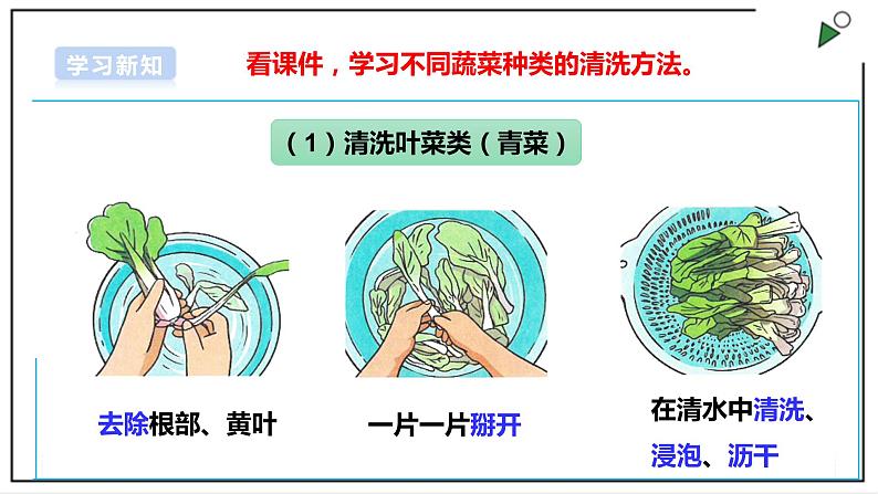 浙教版劳动一年级上册项目三 任务一《蔬菜我来洗》 课件+教案+素材08