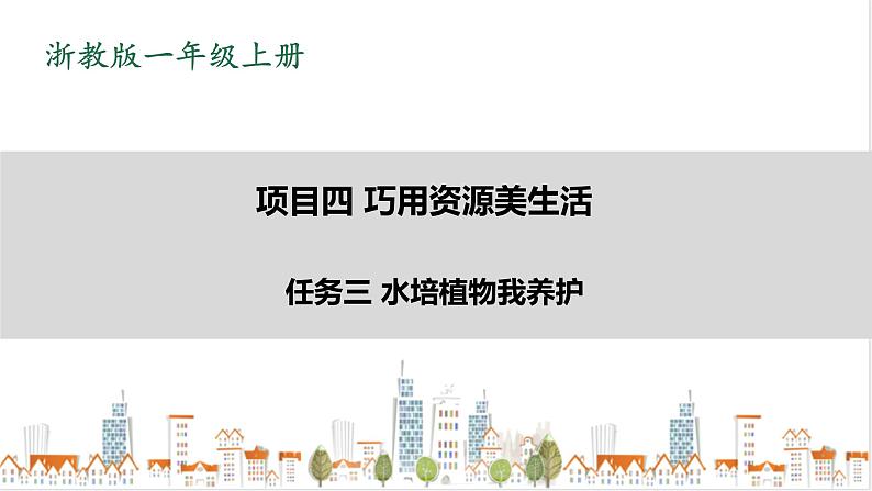 浙教版劳动一年级上册 项目四 任务三《水培植物我养护》 课件+教案+素材01