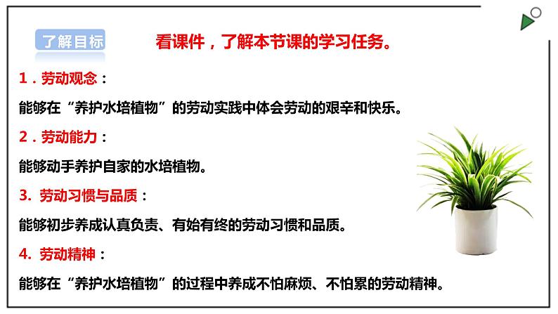 浙教版劳动一年级上册 项目四 任务三《水培植物我养护》 课件+教案+素材02