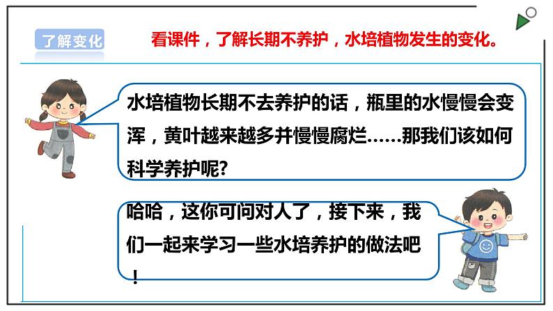 浙教版劳动一年级上册 项目四 任务三《水培植物我养护》 课件+教案+素材06