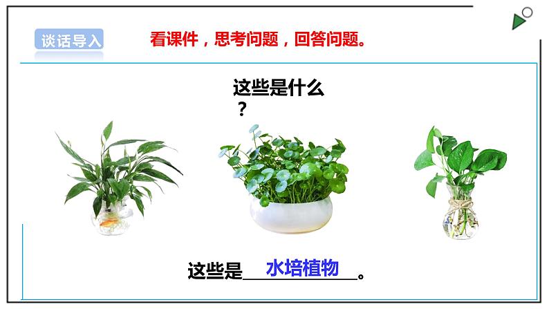 浙教版劳动一年级上册 项目四 任务一《瓶瓶罐罐做花瓶》 课件+教案+素材03