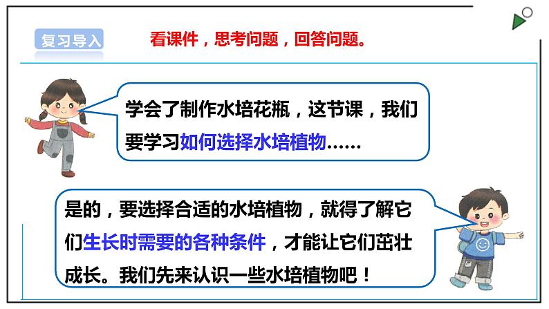 浙教版劳动一年级上册 项目四 任务二《选种水培植物》 课件+教案04