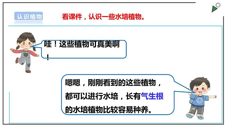 浙教版劳动一年级上册 项目四 任务二《选种水培植物》 课件+教案08