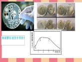 小学劳动教育 二年级上册 活动《清洗我的小水杯》课件