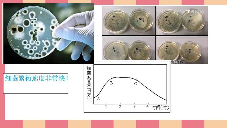 小学劳动教育 二年级上册 活动《清洗我的小水杯》课件第5页