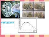 课时6581_二年级 活动一 《清洗我的小水杯》-福田区教科院附小  杨丽  詹雪莲 课件