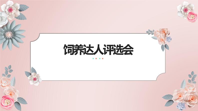 粤教版小学四年级劳动 饲养达人评选会 课件01