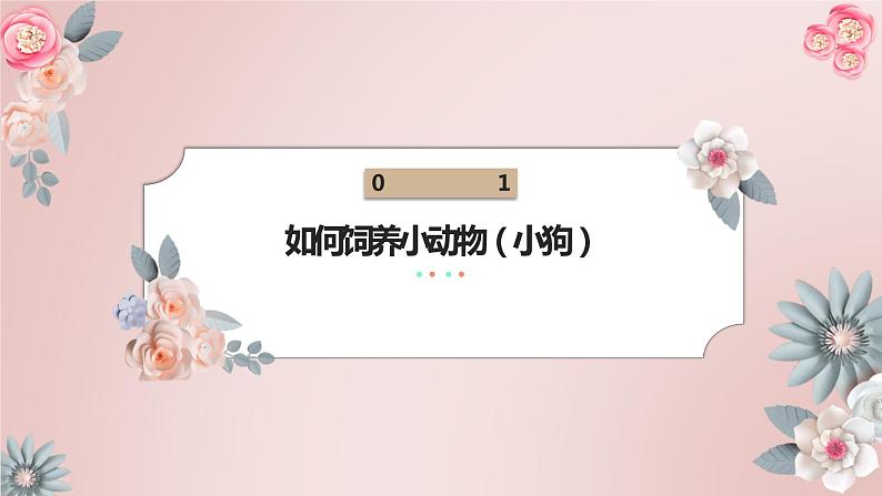 粤教版小学四年级劳动 饲养达人评选会 课件03