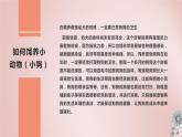 粤教版小学四年级劳动 饲养达人评选会 课件