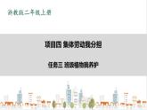 浙教版劳动二年级上册 项目四 任务三《班级植物我养护》 课件+教案+素材