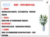 浙教版劳动二年级上册 项目四 任务一《班级植物角我设计》 课件+教案+素材