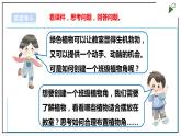 浙教版劳动二年级上册 项目四 任务一《班级植物角我设计》 课件+教案+素材