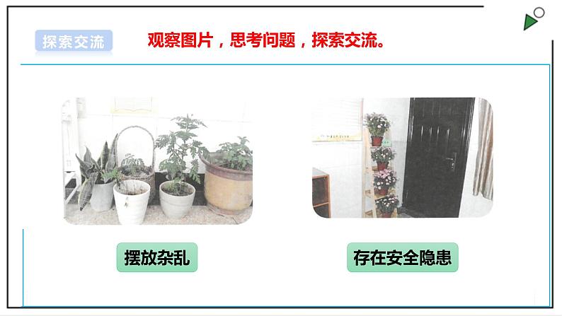 浙教版劳动二上项目四 任务一《班级植物角我设计》课件第5页