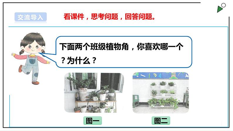 浙教版劳动二年级上册 项目四 任务二《班级植物角我创建》 课件+教案+素材03