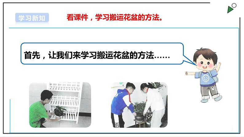 浙教版劳动二年级上册 项目四 任务二《班级植物角我创建》 课件+教案+素材06