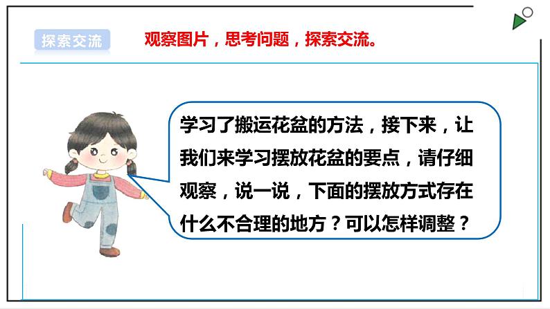 浙教版劳动二年级上册 项目四 任务二《班级植物角我创建》 课件+教案+素材08