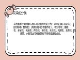 鄂教版劳动二年级上册 第7课 多彩花朵映指尖 课件PPT
