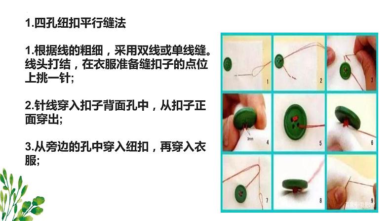 鄂教版五年级上册劳动 第3课 小小纽扣自己缝 课件PPT07
