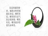 鄂教版六年级上册劳动 第5课艺术插花有讲究 课件PPT