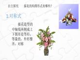 鄂教版六年级上册劳动 第5课艺术插花有讲究 课件PPT