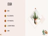 北师大版小学劳动六年级上册同步课件活动2学做土豆烧牛肉