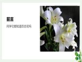 北师大版小学劳动六年级上册同步课件活动13丝网绽放百合花